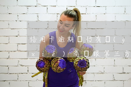 信用卡逾期銀行有關(guān)系能協(xié)商嗎 跟第三方協(xié)商還逾期信用卡應(yīng)該注意那些方面的問題