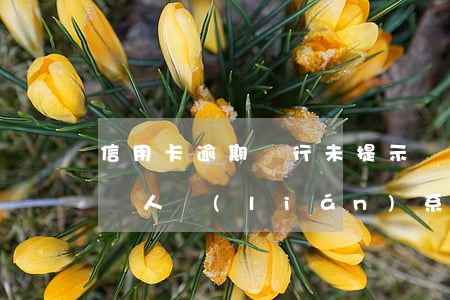 信用卡逾期銀行未提示(為什么信用卡逾期了沒人聯(lián)系我)