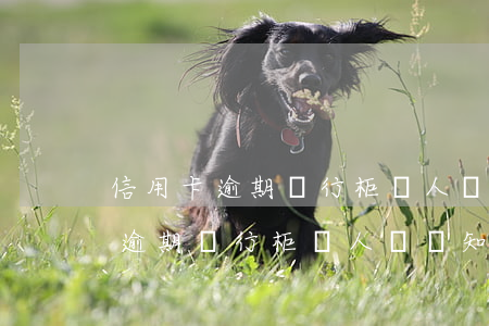 信用卡逾期銀行柜臺人員會知道嗎-信用卡逾期銀行柜臺人員會知道嗎怎么辦