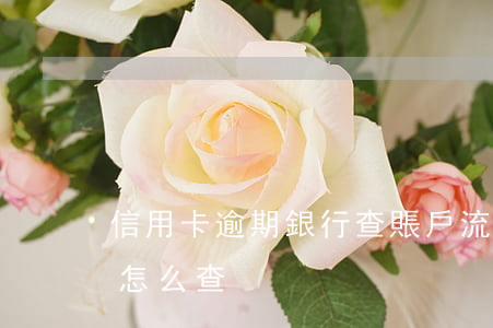信用卡逾期銀行查賬戶流水(查銀行卡流水賬怎么查)