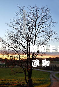 信用卡逾期銀行核對(duì)地址(信用卡逾期調(diào)取地址是真的嗎)