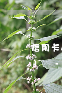 信用卡逾期銀行核對信息如何應(yīng)對-信用卡逾期銀行核對信息如何應(yīng)對的