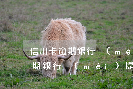 信用卡逾期銀行沒(méi)提示(信用卡逾期銀行沒(méi)提示)