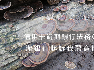 信用卡逾期銀行法務(wù)人員起訴怎么辦(銀行起訴我惡意拖欠信用卡怎么辦)
