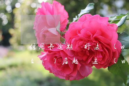 信用卡逾期銀行法務(wù)說幾點(diǎn)后起訴(法務(wù)公司打電話信用卡逾期)