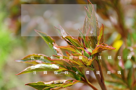 信用卡逾期銀行注銷你的卡 信用卡逾期銀行注銷你的卡還能用嗎