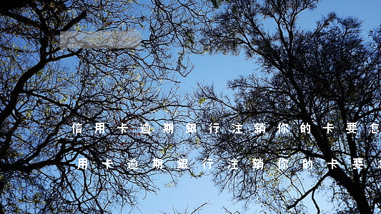 信用卡逾期銀行注銷你的卡要怎么還款?-信用卡逾期銀行注銷你的卡要怎么還款呢