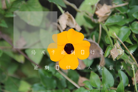 信用卡逾期銀行派人到家里怎么辦?-信用卡逾期銀行派人到家里怎么辦理