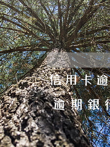 信用卡逾期銀行為什么不輕易起訴-信用卡逾期銀行為什么不輕易起訴呢
