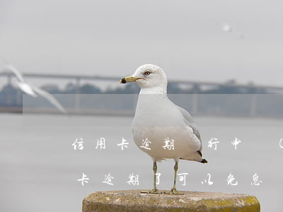 信用卡逾期銀行申請(qǐng)免息(信用卡逾期了可以免息嗎)