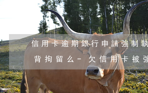 信用卡逾期銀行申請強制執(zhí)行會背拘留么-欠信用卡被強制執(zhí)行會被坐牢嗎