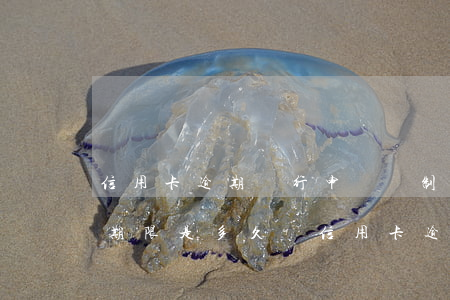 信用卡逾期銀行申請強制執(zhí)行的期限是多久-信用卡逾期銀行申請強制執(zhí)行的期限是多久啊