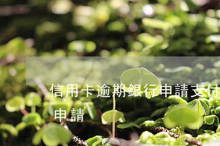 信用卡逾期銀行申請支付令（信用卡逾期 銀行申請）