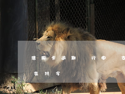 信用卡逾期銀行申請支付令怎么辦-信用卡 支付令