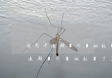 信用卡逾期銀行異地起訴了怎么辦-信用卡逾期銀行異地起訴了怎么辦理