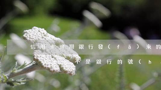 信用卡逾期銀行發(fā)來的掛號(hào)信-不是銀行的號(hào)碼給我發(fā)信息說信用卡逾期