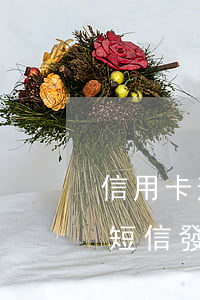 信用卡逾期銀行發(fā)來短信怎么處理(短信發(fā)來說信用卡逾期)