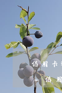 信用卡逾期銀行發(fā)律師函了會怎樣-信用卡逾期銀行發(fā)律師函了會怎樣處理