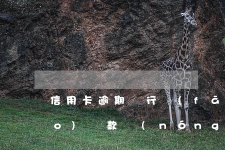 信用卡逾期銀行發(fā)短信七號(hào)還款(農(nóng)行信用卡7號(hào)還款日10號(hào)還款算逾期嗎)