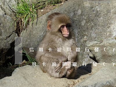 信用卡逾期銀行發(fā)短信要立案嗎（信用卡逾期銀行發(fā)短信要立案）