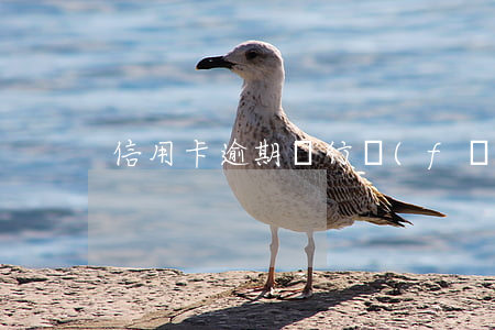 信用卡逾期銀行發(fā)郵件通知起訴