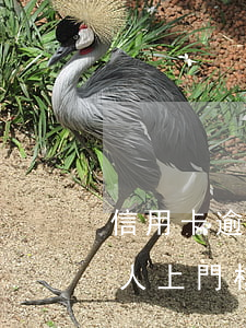 信用卡逾期銀行的人上門(信用卡逾期銀行的人上門核實)