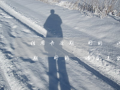 信用卡逾期銀行的違涉金怎么處理(信用卡逾期銀行的違涉金怎么處理流程)
