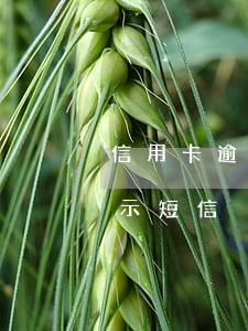 信用卡逾期銀行短信威脅(信用卡逾期立案警示短信)
