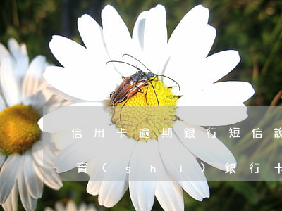 信用卡逾期銀行短信說(shuō)上門核實(shí) 銀行卡逾期說(shuō)要上門