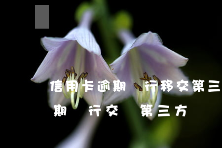 信用卡逾期銀行移交第三方怎么辦(銀行卡逾期銀行交給第三方)