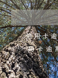 信用卡逾期銀行立案律師費一般是多少-信用卡逾期銀行立案律師費一般是多少錢