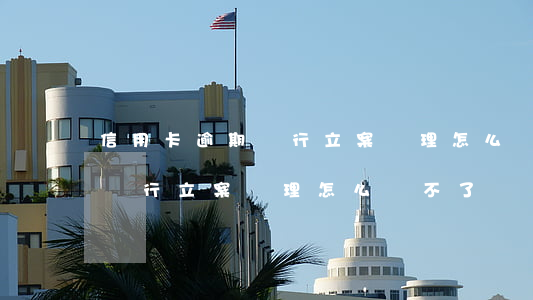信用卡逾期銀行立案處理怎么辦(信用卡逾期銀行立案處理怎么辦不了)