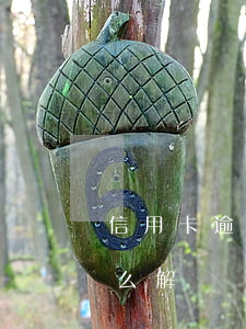 信用卡逾期銀行立案處理(銀行信用卡逾期怎么解決)