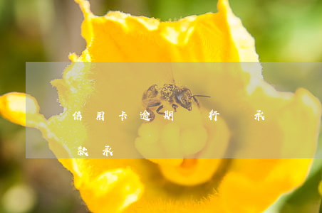 信用卡逾期銀行簽承諾書(信用卡逾期簽了還款承諾書)