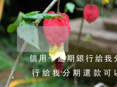 信用卡逾期銀行給我分期還款(信用卡逾期銀行給我分期還款可以嗎)