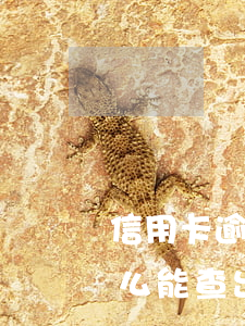 信用卡逾期銀行給我核實(shí)地址(怎么能查出信用卡逾期)