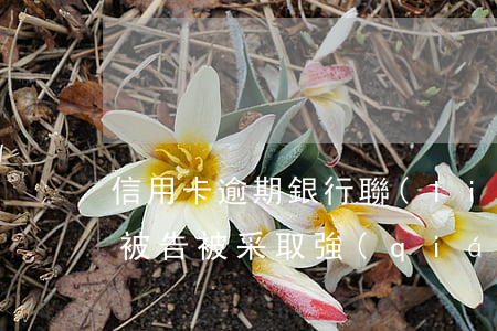 信用卡逾期銀行聯(lián)合起訴民生(被告被采取強(qiáng)制措施信用卡逾期)