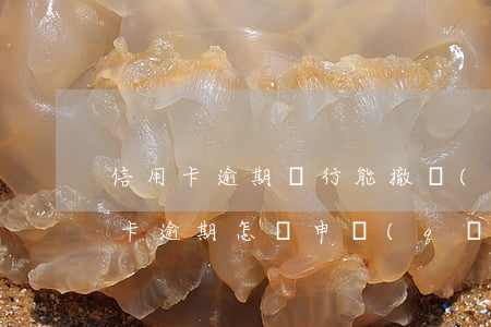 信用卡逾期銀行能撤銷(xiāo)嗎(信用卡逾期怎樣申請(qǐng)撤銷(xiāo))