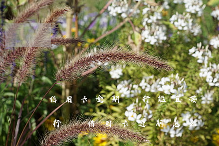信用卡逾期銀行能直接執(zhí)行嗎(銀行對信用卡逾期怎么處理)