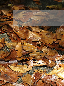 信用卡逾期銀行能聯(lián)系單位嗎(欠信用卡銀行可以去工作單位嗎?)
