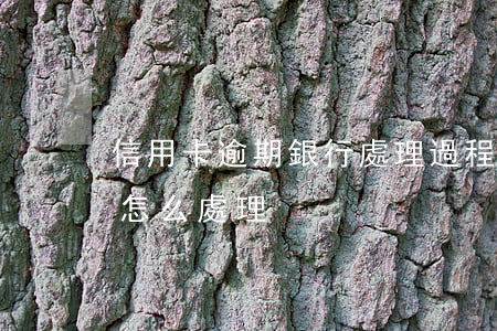 信用卡逾期銀行處理過程(信用卡逾期銀行會怎么處理)