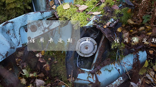 信用卡逾期銀行處罰(信用卡逾期銀行處罰)