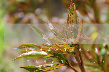 信用卡逾期銀行要上門招商 招商銀行逾期上門后可以協(xié)商解決么?