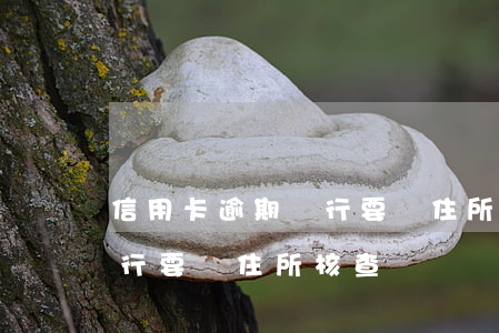 信用卡逾期銀行要來住所核查(信用卡逾期銀行要來住所核查)