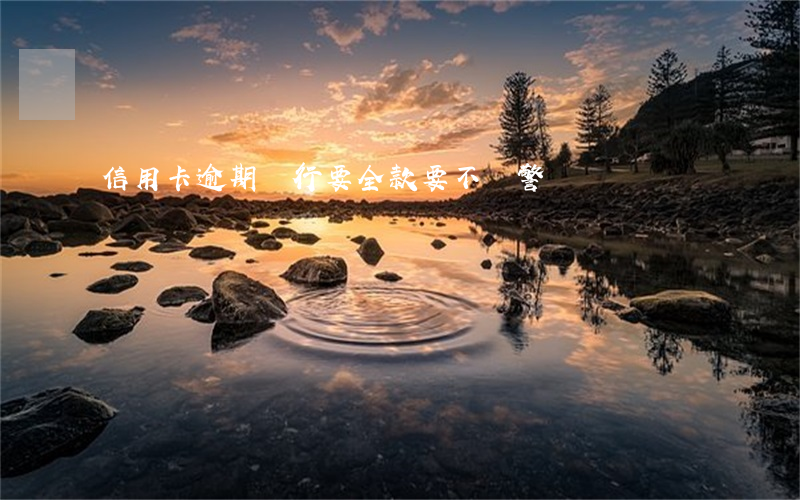 信用卡逾期銀行要全款要不報警