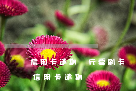 信用卡逾期銀行要刷卡證明(辦銀行卡會顯示信用卡逾期嗎)