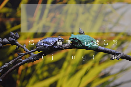 信用卡逾期銀行要告我惡意(銀行逾期案件已經(jīng)認定為信用卡惡意透支)