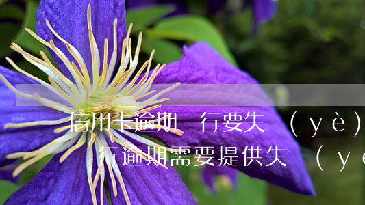 信用卡逾期銀行要失業(yè)證明怎么開(銀行逾期需要提供失業(yè)證明)