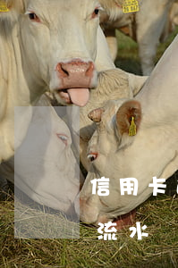 信用卡逾期銀行要工資流水賬(拉信用卡逾期流水)
