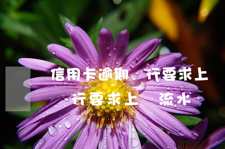 信用卡逾期銀行要求上傳流水-信用卡逾期銀行要求上傳流水賬單
